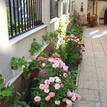 Vlasta Szozopol